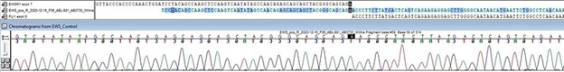 IGM Clinical Lab Graphic
