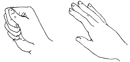 Exercises-Arms and Hands (Passive)