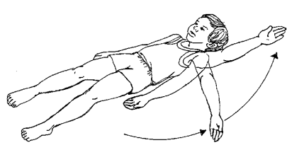 Exercises-Arms and Hands (Passive)