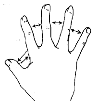 Exercises-Arms and Hands (Passive)