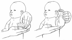 Elbow Flexion and Extension