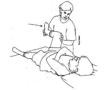 Exercises Lower Extremities-Older Child (Passive)