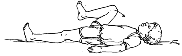 Exercises: Lower Extremities (Active)