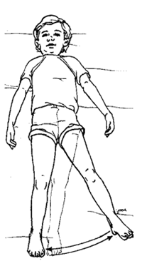 Exercises: Lower Extremities (Active)