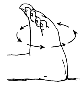 Exercises: Lower Extremities (Active)