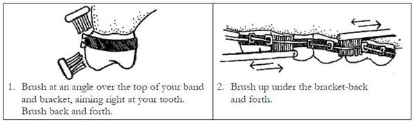 step 1 and 2 to correctly brush
