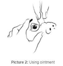 Using ointment